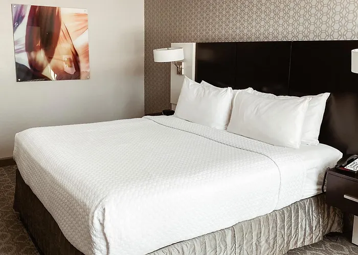Crowne Plaza Chicago Sw - Burr Ridge By Ihg