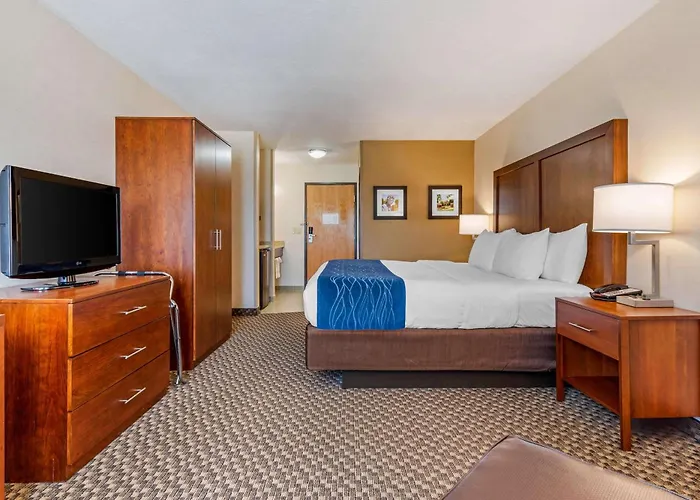 Comfort Inn & Suites Near Route 66