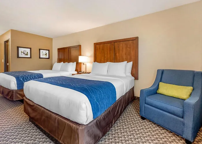 Comfort Inn & Suites Near Route 66