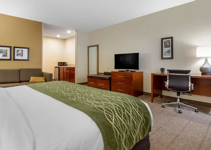 Comfort Inn & Suites Lenoir Hwy 321 Northern Foothills