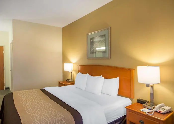 Quality Inn & Suites Midamerica Industrial Park Area