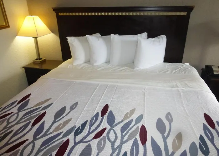 Red Roof Inn Evergreen