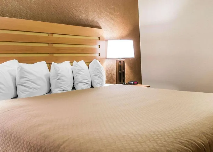 Quality Inn & Suites Warren - Detroit