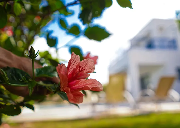 Azzurro Luxury Holiday Villas