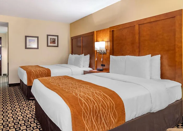 Comfort Inn & Suites Athens North