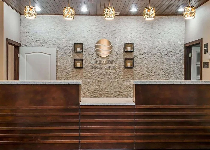 Comfort Inn & Suites Pharr - Mcallen