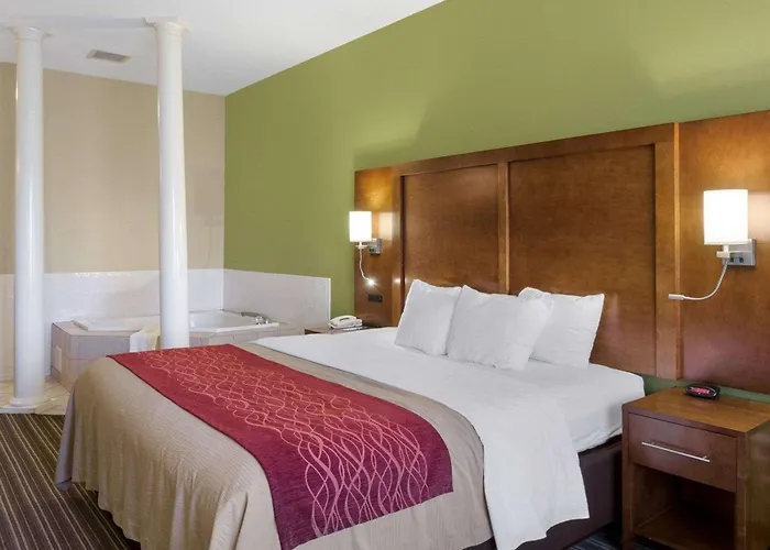 Comfort Inn & Suites Fayetteville-University Area