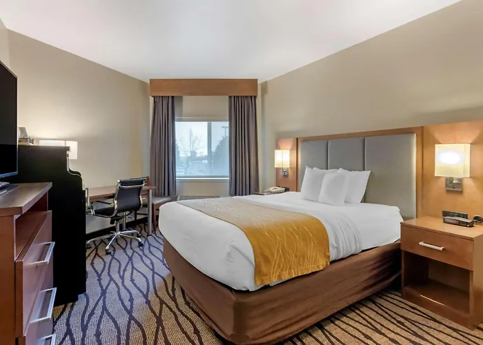 Comfort Inn & Suites Market - Airport