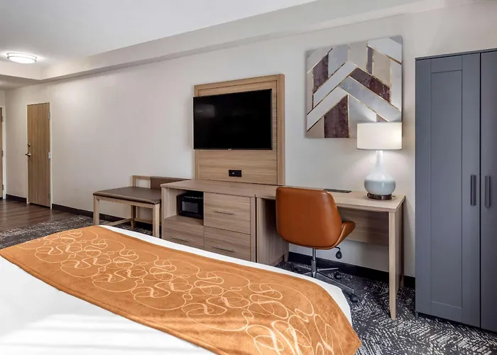 Comfort Suites Anderson-Clemson