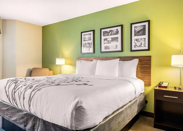 Sleep Inn & Suites Columbus South