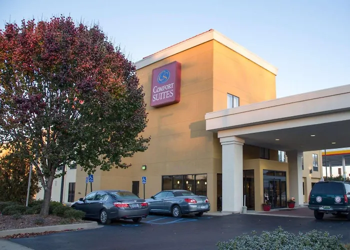 Comfort Suites Fultondale I-65 Near I-22