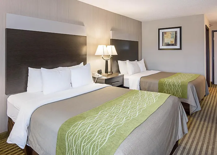 Comfort Inn Camden