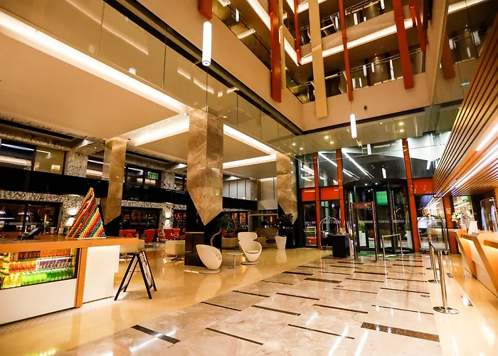 Holiday Inn Kayseri - Duvenonu By Ihg