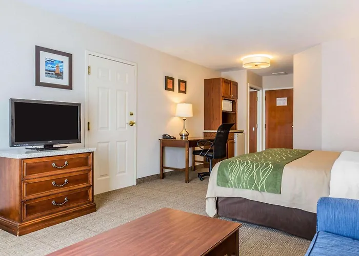 Comfort Inn & Suites South Burlington Near University