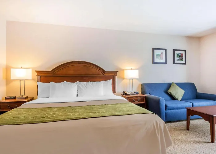Comfort Inn & Suites South Burlington Near University