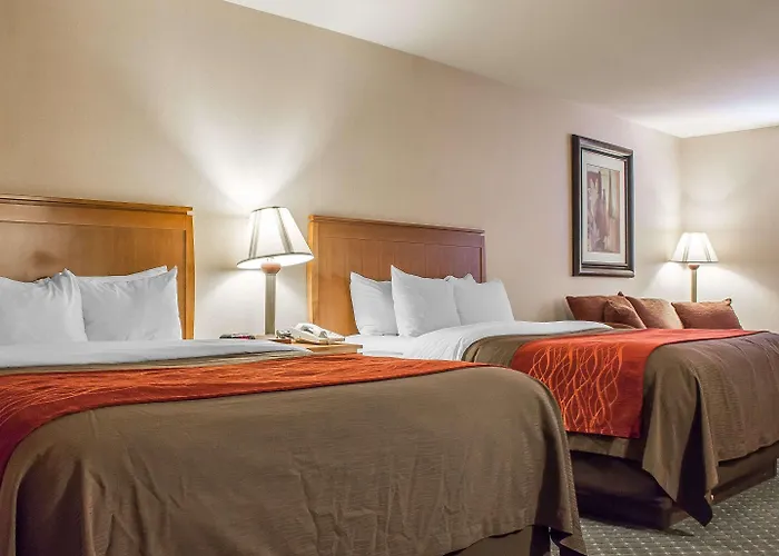 Comfort Inn And Suites Thatcher