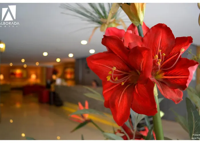 Hotel Alborada