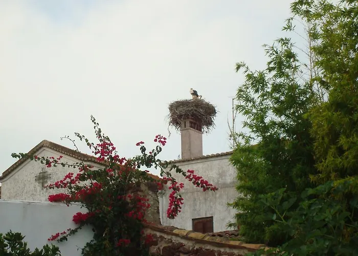 Casa Claudia - Pool And Wifi