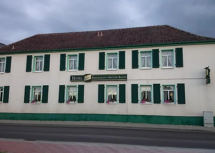Hotel Grüner Baum