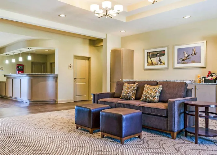 Mainstay Suites Hackberry Sportsman'S Lodge