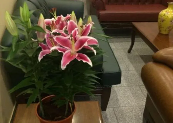 Ünver Hotel