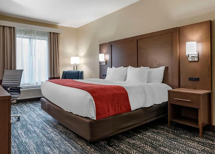 Comfort Inn & Suites Downtown Near University