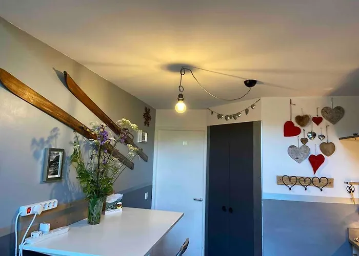 Penthouse Apartment 28M² In Avoriaz Right Next To 3 Ski Lifts, Lake View