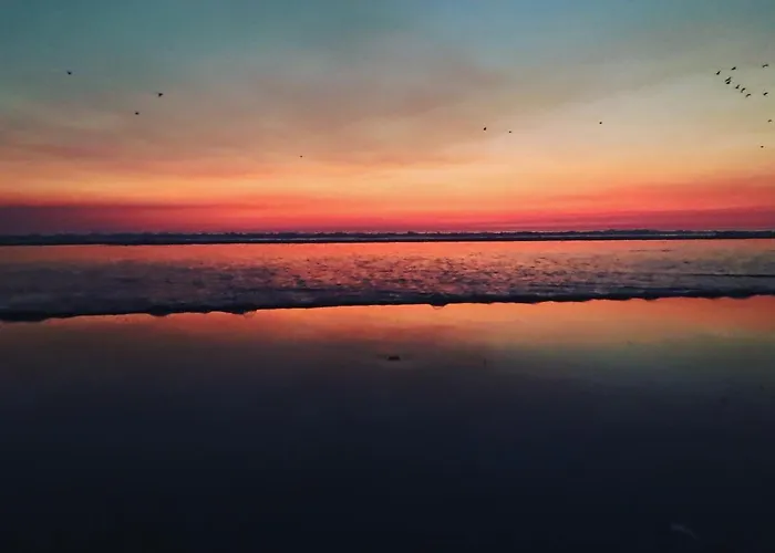 Rock’s Beach Spot Suit