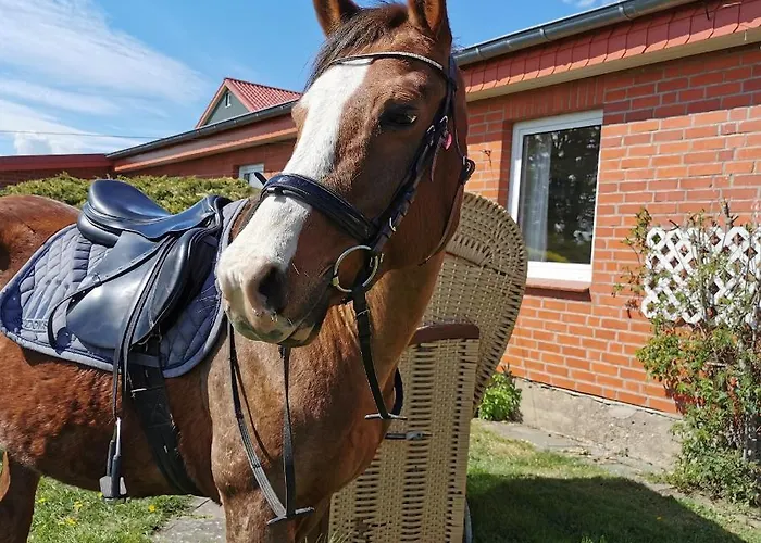 Ferienhof Stobbe Fewo Heuboden