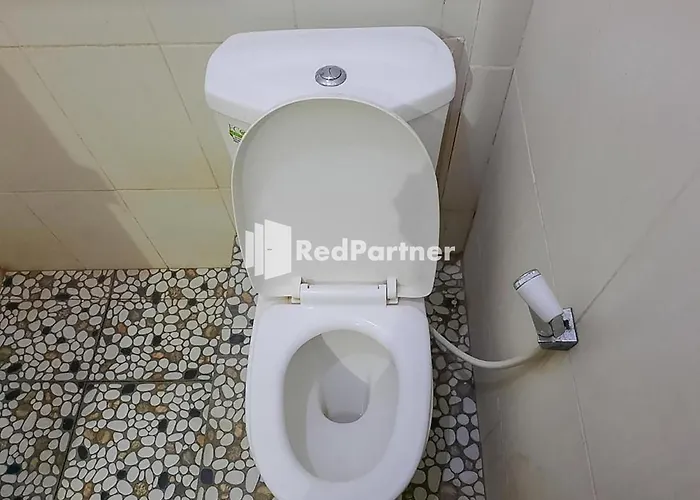 Hotel Puri Yasmin Potowanua Lasusua Mitra Reddoorz