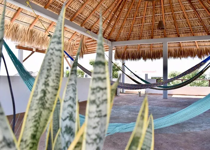 Carri Surf Studio
