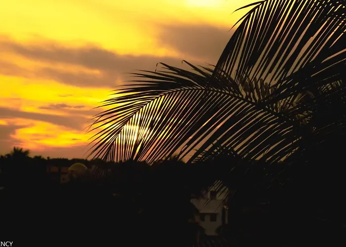 Plutus Residency