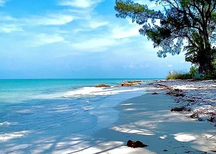 Welcome To The Paradise