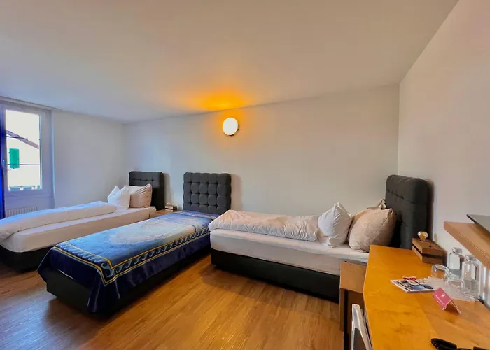Hotel Hirschen Hinwil