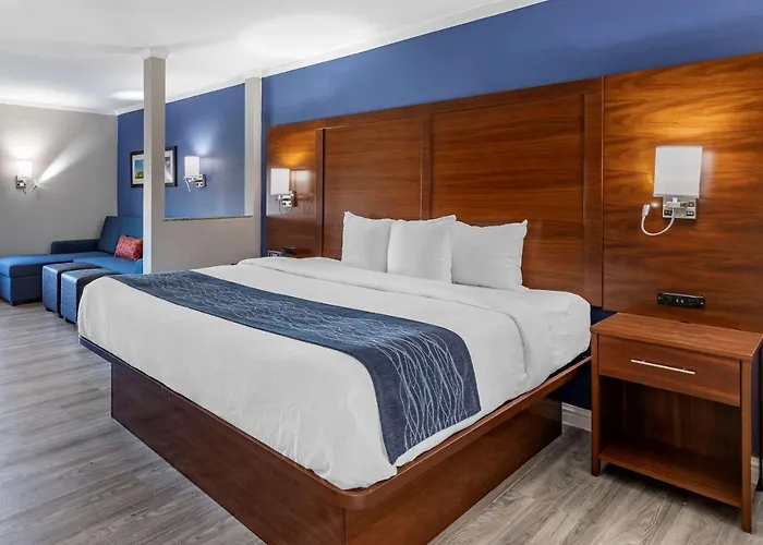 Comfort Suites St Louis - Sunset Hills