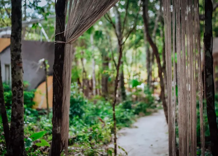 Lunita Jungle Hotel