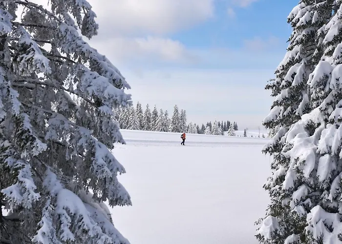 Rogla – Hotel Rogla