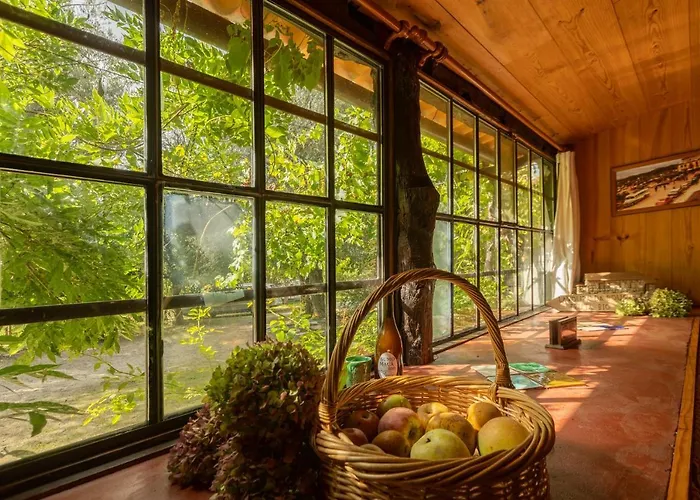 Chalé da Quinta Lavoura da Bouça - Fruta Bio