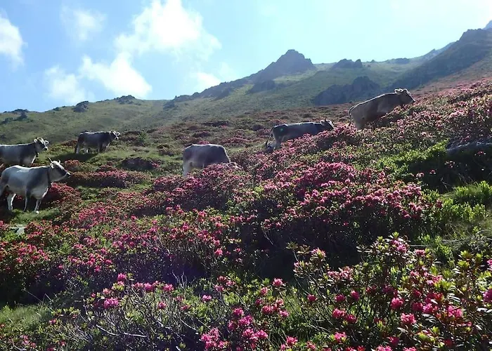 Siegi's Ferienhütte