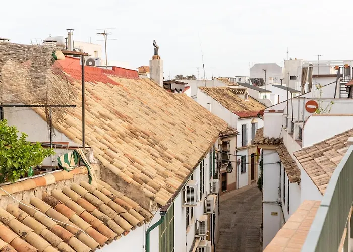 Patio Del Lino
