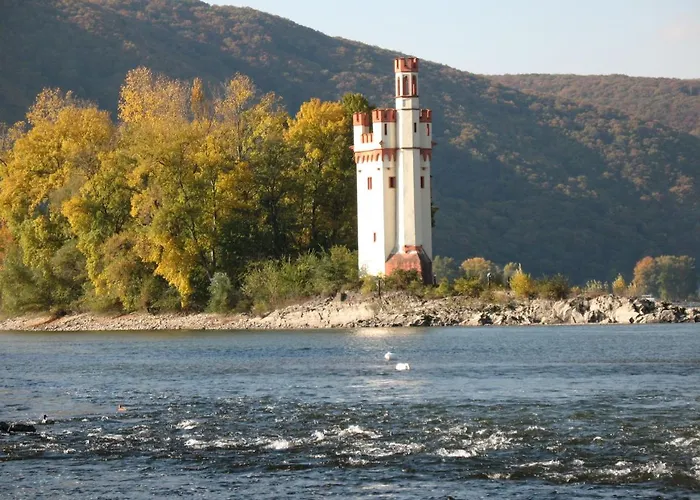 Helle FEWO, 60 qm, Souterrain, eigener Eingang, Rhein und Nahe