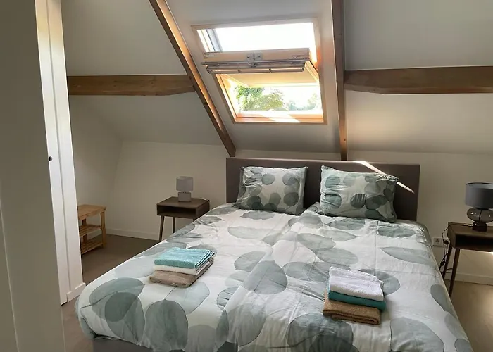 Appartement 5