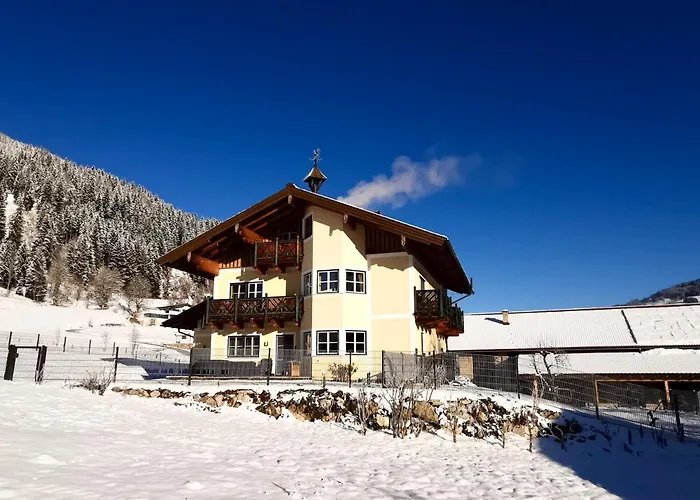 Ferienwohnung Flachau Oberlehengut