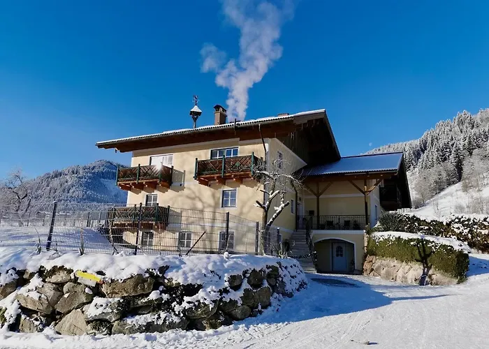 Ferienwohnung Flachau Oberlehengut
