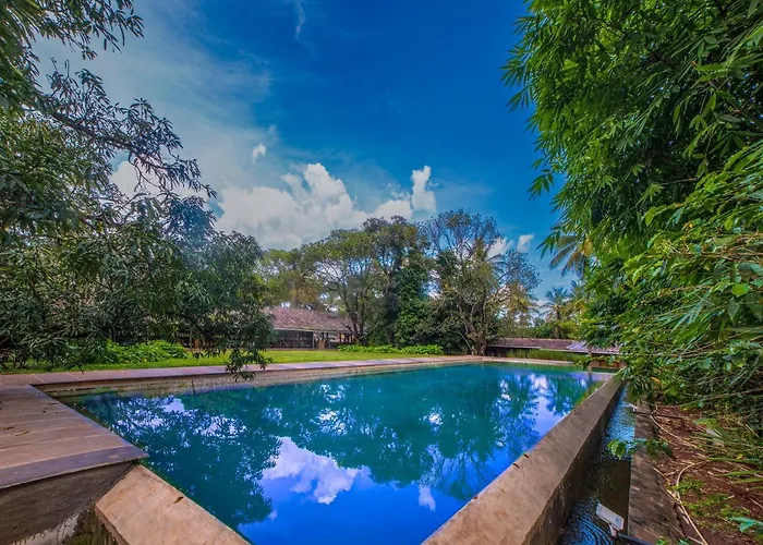 The Orchard Resort