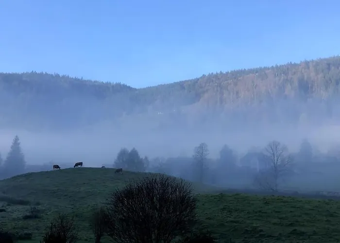 Schwarzwald Loft Menzenschwand
