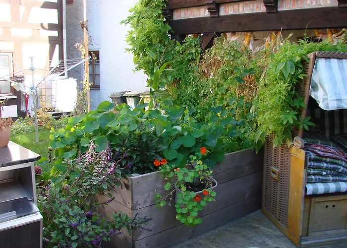 Ferienhaus Sontag