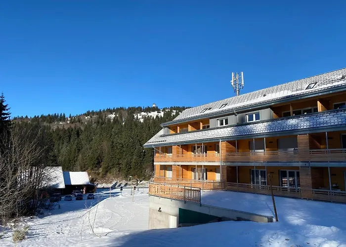 Wiesenquell Apartment Feldberg