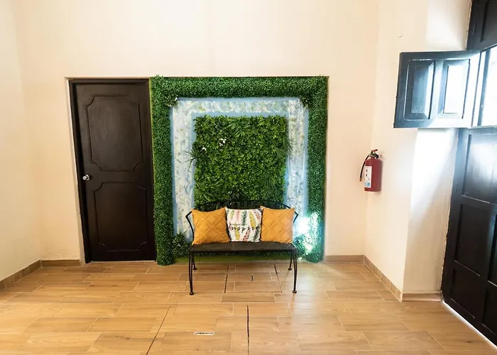Nido Colibri - Private Rooms And Hostel Dorms In Remate De Paseo Montejo