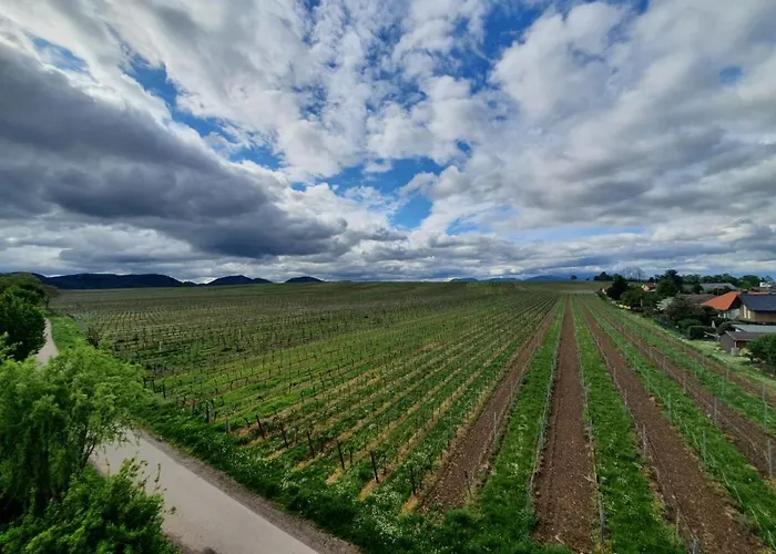 Weinseelig14